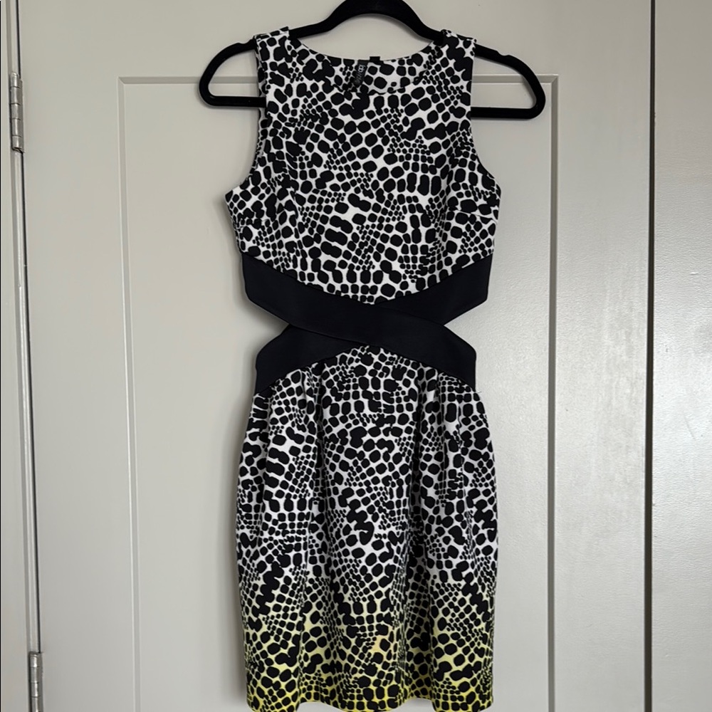 Black and White Fit and Flare Mini Dress